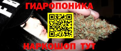 тгк Лесосибирск