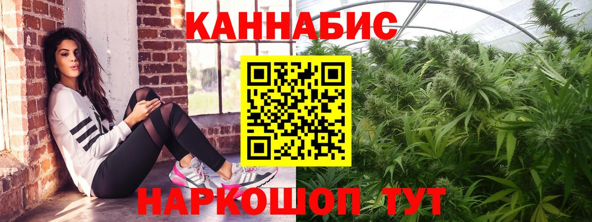 Дмитров  Конопля планчик  Вход с VPN  Бошки марихуана планчик  Конопля White Widow 